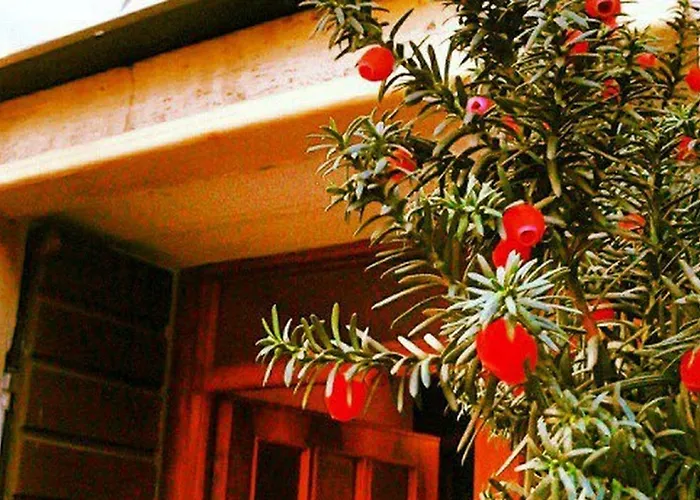 Ariosto Centro Storico Hotel Reggio nell'Emilia